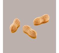silikomart Stampo in Silicone Arachide 30 Accessori Professionali per Cucina e Pasticceria con Cutter ABS, 12 Cavità da 30 ml
