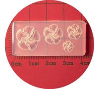 Stampo in silicone per nail art a forma di fiore a cinque petali, in acrilico, per nail art, in gel UV, per ragazze