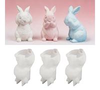 Stampo in silicone per Pasqua, set fai da te pasquale per famiglia e bambini, stampi pasquali, riutilizzabili, ideali per la decorazione della casa e regali di Pasqua (a forma di coniglietto pasquale)