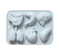 Stampo per dolci a forma di organo: intestini, polmoni, cuore e cervello, realizzato in silicone con un design a organo interno, strumento da forno per anatomia interna, vassoio per sapone epossidico