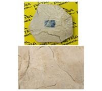 STAMPO per intonaco stampato FINTA PIETRA muro stampato cemento stampato