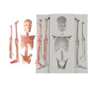 Stampo per ossa scheletro - Stampo in silicone scheletro di Halloween | Silicone Skull Candle Maker di cottura con non bastone | Halloween resina epossidica Casting Cake Decorating For Chocolate Candy