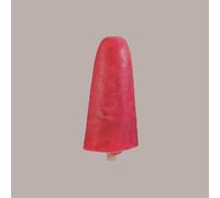 Stampo per Stecco Ghiacciolo Gelato RECOUVERT Riutilizzabile 4x6 pose
