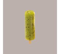 Stampo per Stecco Ghiacciolo Gelato TWIG Riutilizzabile 4x6 pose