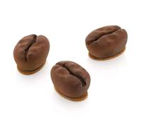 Stampo Silicone Chicchi Caffè Mignon Silikomart Rousselot 15x30 ml Kit Frolla