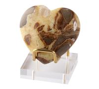 Stand di visualizzazione minerale acrilico | ROCK CAST per il display con base acrilica, supporto per display in metallo per minerali rocce strane pietre a portata di calcolo che mostra fossili acrili