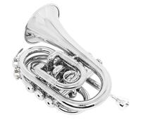 Standard Tromba Set Tromba Tasca Piatto Ottone Strumento Musicale Con Bocchino Guanti Panno di Pulizia Custodia Guanti