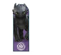 Standee In Cartone Di Toothless Come Addestrare Il Tuo Drago - Night Fury