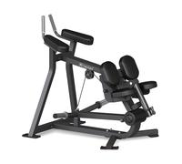 Standing Leg Curl Diamond Professional Serie 300
