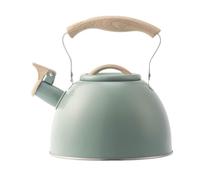 STANGE TOTTO TOTTO TOTTO TETTLE TECCA IN ACCIAIO IN ACCIAIO DELLA TEAKETTHETTOLE DI BRIGA CONSEGNA CON MANORE ERGONOMIC COLIGLIO DI TEA PER IL RISTATORE DI CASAGNO DI CASATURA