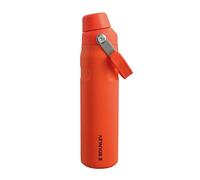 STANLEY 1913 Aerolight Iceflow Borraccia Palestra 0.6L - Tigerlily