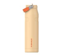 Stanley 1913 Flip Straw 2.0 Borraccia Con Cannuccia 1.06L - 17 Ore Di Freddo - 4 Giorni Di Freddo - Acciaio Inossidabile - Senza BPA - A Prova di Perdite - Lavabile In Lavastoviglie - Orange Sherbet