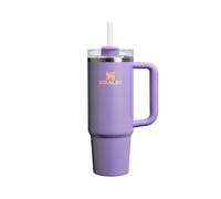 STANLEY 1913 Quencher H2.0 Flowstate Borraccia Con Cannuccia 0.89L - Freddo Per 9 Ore - Con Ghiaccio Per 40 Ore - Senza BPA - Tazza Termica Con Manico - Periwinkle Shimmer
