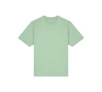 Stanley/Stella Freestyler rilassato t-shirt pesante (STTU788) STTU788