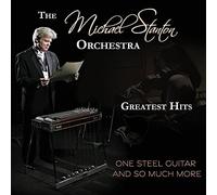 Stanton,Michael Orchestra - One Steel Guitar & So Much More