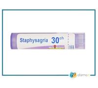 StaphysaGria 30 Ch 80 Gr 4 G