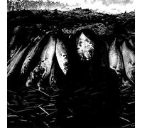 Stapleton, Suzie - We Are The Plague