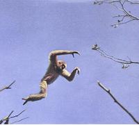 STAR CLUB WEST - MY ILL WOMEN