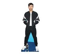 Star Cutouts Louis Tomlinson Cantante e cantautore, Cartone, Multicolore, 3 x 65 x 173 cm