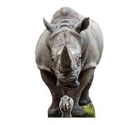 Star Cutouts Ltd Sagoma Cartonata Rinoceronte 152cm con Mini Standee Multicolore