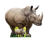 Star Cutouts Ltd Sagoma Cartone Rinoceronte 93cm Standee Mini Animale