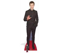 STAR CUTOUTS, sagoma di Cartone Shawn Mendes, Multicolore
