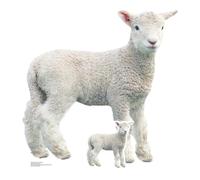 Star Cutouts SC4438 - Sagoma in cartone a forma di agnello, altezza 74 cm