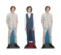 Star Cutouts Timothee Chalamet CS1195 - Sagome a T in cartone, altezza 31 cm, ideali per film a tema, feste, compleanni e fan, decorazioni per stanze ed eventi