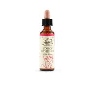 STAR OF BETHLEHEM 20ML