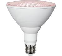 Star Trading - Lampada LED E27 PAR38 Luce pianta - 16,0 W