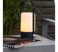STAR TRADING Lampada LED Flame Lantern, portatile, batteria STAR TRADING