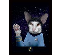 Star Trek: Pyramid - Cats (Spock Paw) Memorabillia Range (Poster In Cornice 30x4
