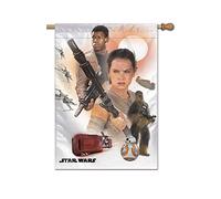 Star Wars 2-Sided Banner