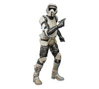 STAR WARS Black Series Carbonized Mandalorian Scout Trooper Action Figure Hasbro