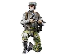 Personaggio Hasbro Star Wars The Black Series Rebel Trooper (endor)