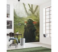 Star Wars Grande MURALE 78x110 Pollici Mandaloriano Grogu Foto Carta Da Parati