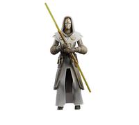 Star Wars Hasbro The Black Series, Guardia del tempio Jedi, action figure collez