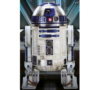 Star Wars La Forza Awakens R2-D2 Maxi Poster, in Legno, Colore: Multicolore