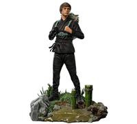 Star Wars Luke e Grogu Training Polystone Statua in scala 1:10 altamente dettagl