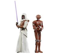 Star Wars: Galaxy of Heroes Vintage Collection Action Figure 2-Pack Jedi Knig...