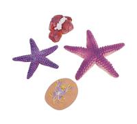 Starfish Decor 4 Pezzi Modello Educativo Simulato di Stelle Marine per Ragazzi e Ragazze dai 3 Anni in su, Realizzato in PVC Sicuro