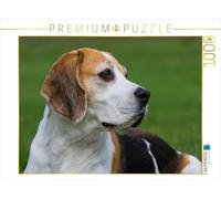 Starick Sigrid CALVENDO - Puzzle da 1000 pezzi, soggetto: Beagle, dimensioni: 64 x 48 cm