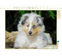 Starick Sigrid - Puzzle "Calvendo", 1000 pezzi, dimensioni della lega: 64 x 48 cm