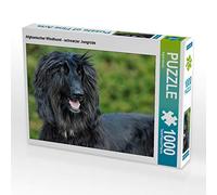 Starick Sigrid - Puzzle da 1000 pezzi, motivo: levriero afghano, 64 x 48 cm, colore: nero