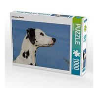 Starick Sigrid - Puzzle da 1000 pezzi, soggetto: dalmata, dimensioni 64 x 48 cm