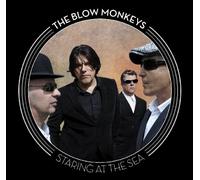 Staring at the Sea by Blow Monkeys (2011-03-29)
