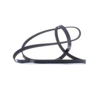 STARK SK-5PK2030 Cinghia servizi per BMW 3 Limousine (E46) 5 Limousine (E39)