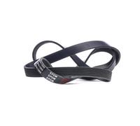 STARK SK-6PK1560 Cinghia servizi per BMW 5 Limousine (E60) 3 Limousine (E36)