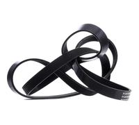 STARK SK-6PK2155 Cinghia servizi per VW LT 28-46 II Van (2DA, 2DD, 2DH) 2155mm