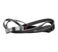 STARK SK-6PK2260 Cinghia servizi adatto per MERCEDES-BENZ 190 (W201) CLK (C209)
